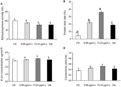 Aptly chosen, effectively emphasizing the action and mechanism of antimycin A1